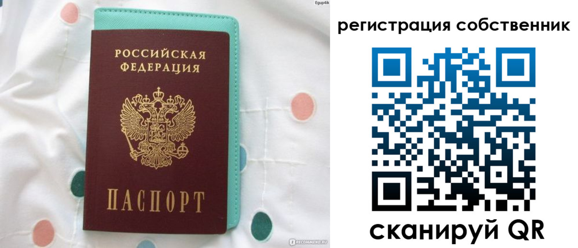 прописка для школы в Железногорске